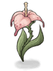 Wild Flower