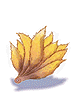 Nine Tails