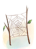 Cobweb