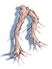 Maneater Root