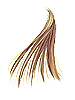 Golden Hair