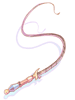 Queen's Whip