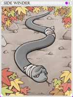 Sidewinder Card
