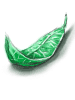 Green Herb