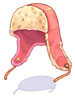 Ear Muffs Hat