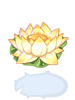 Flower Lily