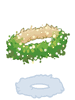 Flower Crown