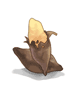 Yam