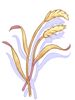 Bag of Grain