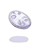 Platinum Coin