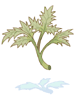 Herb of Incantation