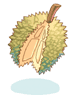 Durian