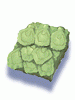 Anolian Skin