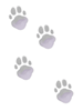 Footprints of Cat
