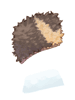 Black Bear Skin
