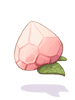 Solid Peach