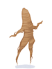 Brown_Root