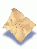 Note Of Geologist