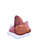 Cacao_Bean