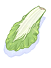 Bok Choy