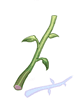 Stem