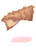 Animal Skin