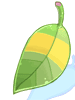 Raccoon Leaf