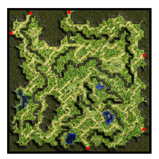 Comodo Field 1