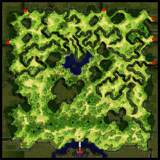 Prontera Field 1