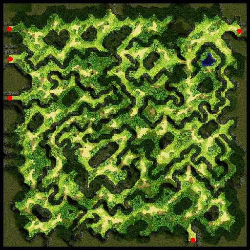 Prontera Field 2