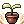 Cultivation